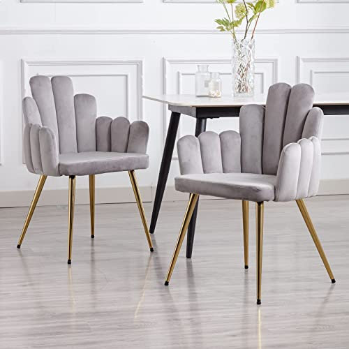 Wahson Set di 2 Sedie da Pranzo Moderne in Velluto Sedie da Cucina con Gambe in Metallo Dorato, Sedie da Salotto Imbottite per Sala da Pranzo/Ristorante, Grigio