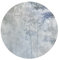 murando runde Fototapete selbstklebend Wald 140x140 cm Tapeten Wandtapete XXL Moderne Wanddeko Design Wand Dekoration Wohnzimmer Schlafzimmer Büro Flur Bäume Natur Landschaft grau