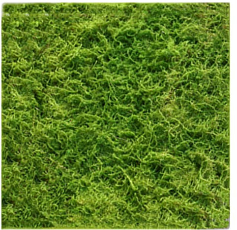 ALFAAL Kunstrasen Wand Simulation Einer Umweltfreundlichen Luftreinigung Künstliche Rasen zum Dekorieren von Hausgartenrasen (Color : B, Size : 50x50cm)