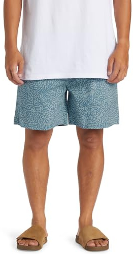 Quiksilver Herren Shorts Taxer Ws
