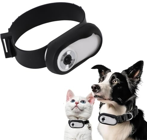 Jectse Katzenhalsband-Kamera, 170°-Weitwinkel-Haustierkameras, Action-Kamera für Videoaufzeichnungen, 1080P USB Wiederaufladbar, Verstellbare Kleine Haustierkamera,