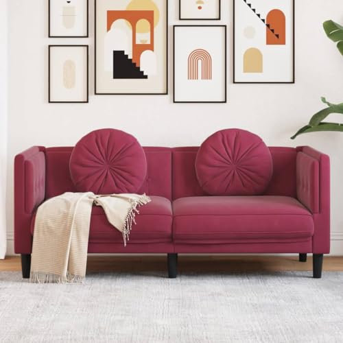 Willood Sofa mit Kissen 2-Sitzer Weinrot Samt, Polstersofa Loungesofa Couch für Wohnzimmer, Designsofa Wohnzimmersofa Sitzmöbel, Modern