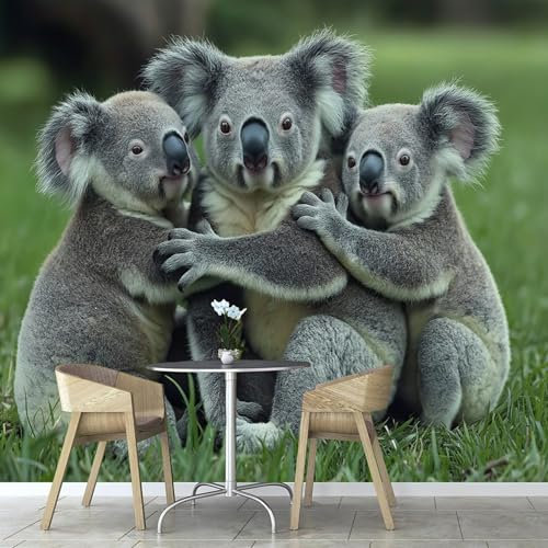 Papier Peint Photo Wallpaper Mural,3D Panoramique Murale Koala Mignon Animal, Papier Peint soie 150×105 cm, pour Salon, Chambre Enfant Décoration Murale