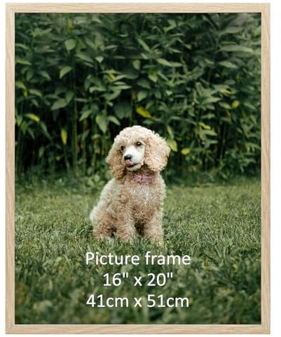 Giftgarden Natur Holzfarbener Bilderrahmen 40x50 cm, Einzel Rahmen für 50x40 cm Fotos und Bilder | Großer Posterrahmen – Ausschließlich für Horizontale oder Vertikale Wandmontage