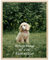 Giftgarden Cadre 40x50 cm Couleur du bois, Cadre Photo Poster 50x40 cm en PVC, pour œuvres d'art, Affiches, Certificats - 1 Pièces, pour Montage Mural Uniquement
