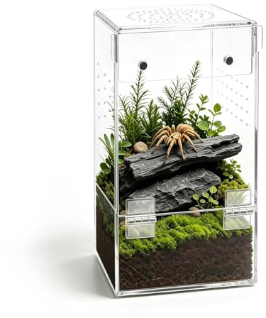 Acryl Terrarium Mini Faunarium Springspinnen Terrarium Hoch 8 × 8 × 15 cm Acryl Insektenfutterbox mit Belüftung, 360 ° Transparent Zuchtbox für Schnecken Vogelspinne Eidechsen Skorpione Käfer
