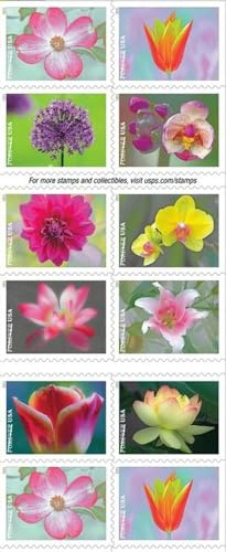 1 Booklet 20 Stamps First-Class Letter Mail Self-Adhesive Self-Stick