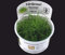 Sahawa 1-2-GROW! 2 x Bonsai-Nadelsimse/Eleocharis sp. 'Mini'