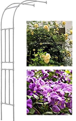 FSCLJ Gartenbogen Gartenlaube Aus Metall, Rosenbogen Halbbogen Für Rosen Kletterpflanzen Unterstützen,Stützgitterbogen Torbogen Hochzeitsdekoration