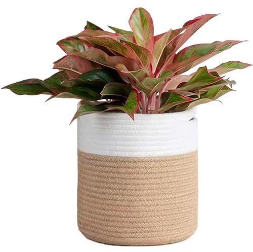 Accmuzzy 30cm Plant Pots Indoor,Cotton Rope Woven Basket House Planter Indoor Plant Pot Floor Standing Large Flower Pots Indoor,Foldable Laundry Storage Basket Home Decoration (Yellow&White)