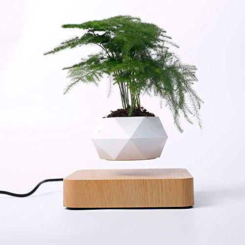 GYLEJWH Macetas de aire magnéticas flotantes, macetas flotantes, macetas flotantes, macetas flotantes, macetas flotantes, para decoración temporal de casas y jardines (sin plantas), A