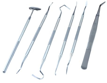 6 herramientas de limpieza dental de acero inoxidable, juego de cuidado dental portátil for el hogar, reutilizable for hombres, mujeres, adultos y mascotas.(1set-6pcs(box))