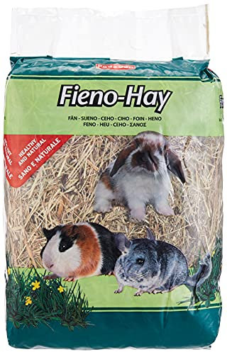 Padovan Fieno Hay Naturale - Confezione da 1 Kg