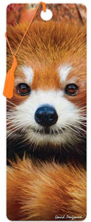 3D LiveLife Lesezeichen - Baby Roter Panda von Deluxebase. Ein Roter Panda-Lesezeichen mit linsenförmigen 3D-Kunstwerken, lizenziert von dem bekannten Künstler David Penfound