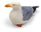 Onwomania Polyresin Figur Möwe Silbermöwe Meer Vogel Tier Dekofigur aus Polyresin Weiß 7 cm