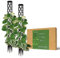PlantMe Rankhilfe mini, kleine Rankhilfen für Kletterpflanzen, Monstera, Moosstab, Pflanzstab, Pflanzenstütze, small Moss Pole, Kletterhilfe Zimmerpflanzen (2X 40cm Without Filling, Schwarz)