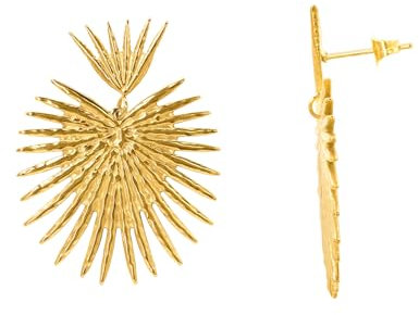 Heideman Ohrringe Paula Damen - aus hochwertigem Edelstahl - silber gold rosegold farbend poliert - Ohrstecker für Frauen - Strahlen Form Ohrschmuck