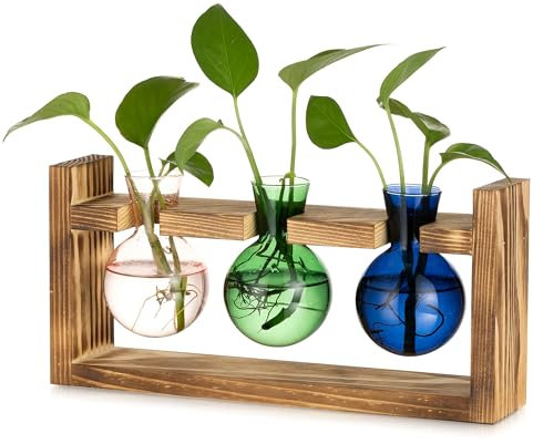 Glasseam Glass Propagation Station for House: Small Bulb Flower Vase with Wooden Frame for Indoor Living Room Kitchen Window Desk Decor - Colorful Bud Vases Plant Terrarium for Hydroponic Herb Cutting