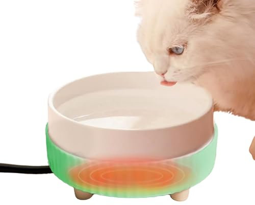 Fuente para gatos, cuenco de agua de cerámica climatizada para gatos en invierno, fuente para gatos y perros pequeños, dispensador de agua para gatos pequeños con temperatura constante