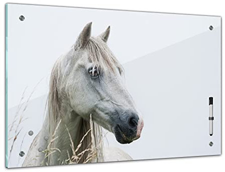 Bilderdepot24 Memoboard 60 x 40 cm | Tiere | weißes Pferd - Schimmel | abwaschbare Glas-Magnettafel mit Halterung Magneten Stift 1318