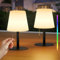 FUYO 2 Stück Outdoor Tischlampe mit 8 Farben Dimmbar Kabellos Tischleuchte Tragbare Farbwechsel Nachtlicht Lampe für außen garten schlafzimmer camping ostern dekoration