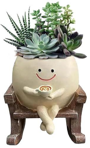 Macetas con cara oscilante, maceta con cara sonriente, macetas para suculentas con orificio de drenaje, sit mecedora, macetas suculentas, macetas para plantas de interior, flores suculentas