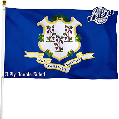 XIFAN Doppelseitige Connecticut Staatsflagge, 90x152 cm, strapazierfähig, 3-lagig, strapazierfähiges Polyester, CT-Flagge mit lebendigem Druck/4 Reihen Saum/Messingösen für Innen- und Außendekoration