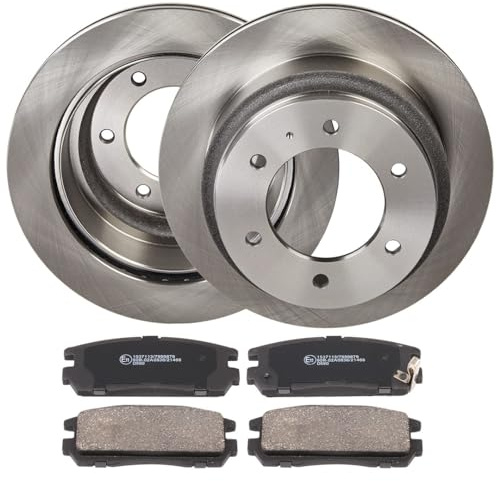 RIDEX Bremsenset Hinten 312,9mm Bremsscheiben und Bremsbeläge Kompatibel mit OPEL Frontera B SUV U99 Belüftet