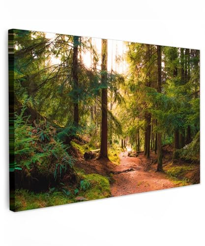 MuchoWow© Bild auf Leinwand Groß 120x80 cm XXL Schlafzimmer Bilder Wand Deko Wohnzimmer Modern Wanddeko Bilderwand Geschenk Wandbild Wald - Weg - Bäume - Grün - Sonne - Natur