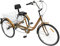 CLEADONG 24 Zoll 6 Gang Lastenfahrrad, Klappbar Dreirad Mit Einkaufskorb, Dreirad für Erwachsene, City Einkauffahrrad Bike mit LED Licht Gemüsekorb Becherhalter