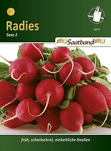 N.L. Chrestensen 42014 Radies Saxa 2 Ruban de graines de radis