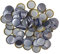 BALLIIHOO Pack of 100 Crown Bottle Caps - Silver