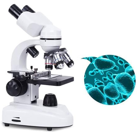 GNbow Profesionales Microscopios, Aumento de 10000x, 15000x, 20000x, Microscopio Compuesto Binocular Profesional con luz LED y Diapositivas para Aprendizaje Experimental
