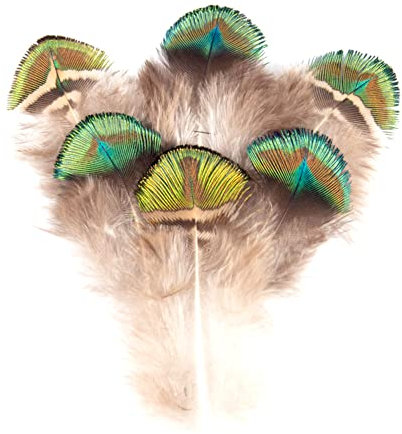 100 Stück Natürlice Pfauenfedern Echt Federn Basteln Deko Klein Pfau Schwanzfedern Augen Federn Dekorationen Bastelzubehör für Hochzeit, Party, Kostüm, DIY Dekor, Federn zum Basteln, (Farbe, 5-8cm)
