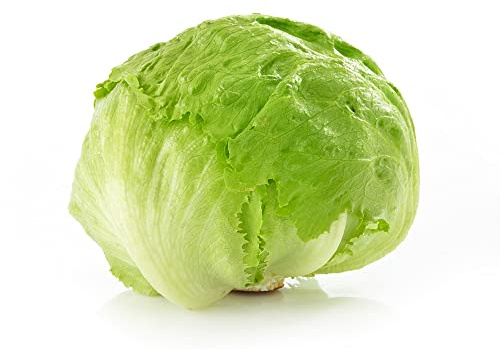 Iceberg Lettuce, 1 Head