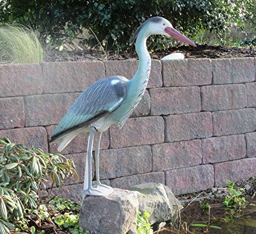 Fachhandel Plus Dekofigur Reiher Schutz gegen Fischreiher Teichfigur 73 cm Gartenschreck Vogelschreck Gartenfigur mit Erdspieß