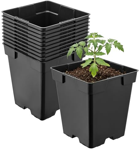 Garronda Pflanztopf Kunststoff 11 x 11 x 12 cm (1L) 10er Set eckig mit Drainagelöchern Blumentopf robust Pflanzentopf für Garten Gewächshaus Balkon Anzucht Innen Außenbereich Schwarz GD-0199