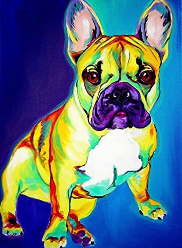 Eodyyw Diy Diamant Gemälde Kits Für Erwachsene_Tier Der Französischen Bulldogge_5D Diamond Painting_Erwachsene Und Kinder Diamant Painting Bilder_40X50Cm_Rahmenlos