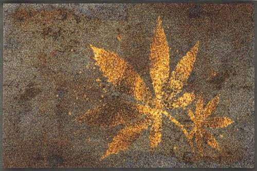 wash+dry Fußmatte, Herb Blend 50x75cm, innen und außen, waschbar, bunt