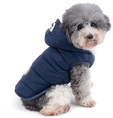 Ranphy Cotton Fleece Small Dog Jackets Hoodie for Cold Weather Girl Boy Puppy Cat Winter Coat Sweater 2 Leg Hooded Outfits Pet Soft Vest Clothes Apparel for Chihuahua Poodle Teacup Dog Blue S