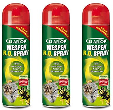 Evergreen Garden Care Deutschland GmbH CELAFLOR Wespen K.O. Spray 1,5 l - Anwendungsfertiges Kontaktspray zur gezielten Bekämpfung