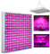 EINFEBEN Grow Light 15W Lampada per Piante Coltivazione Spettro Completo per idroponica, fiori da semina per interni, tende da coltivazione e serra