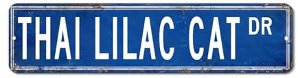 LMMIXEE Thai Lilac Cat Dr Targa in metallo Thai Lilla Cat Cartello stradale personalizzato gatto regalo da parete vintage rustico metallo cartello da parete cucina decorazione per la casa cartello da