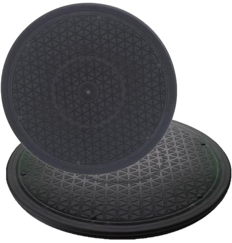 2 Stück Drehteller Drehscheibe Drehbarer Universal, Pflanzen Drehplatte mit Stahlkugellagern, 360° Drehbar Plattform für TV, Rotierende Plattenteller für Lautsprecher Handwerk Küche(30cm/12)