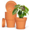 Plastic Plant Pots Indoor Outdoor, 6 Pack 7Inch/17.7CM Plant Pots Flower Pot with Drainage Holes and Tray,Modern Decorative Planter Pot for All House Plants(Terracotta)