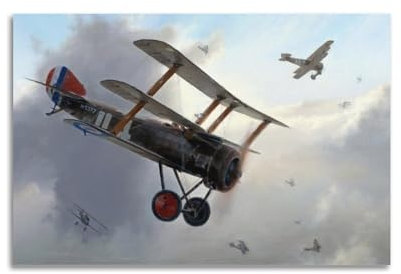 qiyan Poster, Motiv: Kampfflugzeug im Vintage-Stil des 1. Weltkriegs, Triplaner, Militärflugzeug, Poster, dekorative Malerei, Leinwand, Wandposter und Kunstdruck, moderne