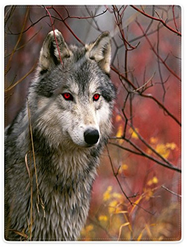 YISUMEI Decke 150x200 cm Kuscheldecken Sanft Flanell Weich Fleecedecke Bettüberwurf Wolf Rote Augen