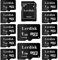 LerDisk SD Group Licence Lot de 12 Cartes mémoire Micro SD 1 Go
