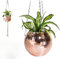 Pot de fleurs disco à suspendre avec chaîne - Panier suspendu pour plantes d'intérieur - Décoration bohème (15 cm, or rose)