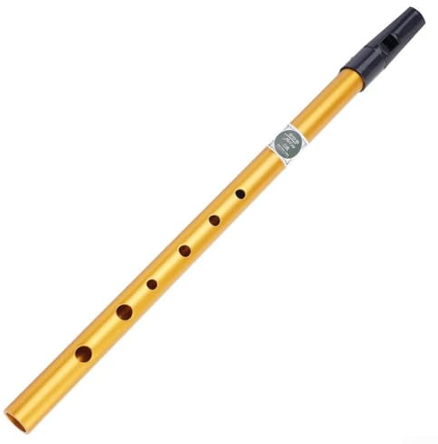 Flûte irlandaise en métal pour instrument à vent en bois avec trous accordés numériquement pour la musique traditionnelle et les débutants (touche C dorée)